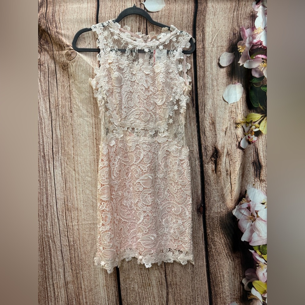 Elegant Lace Dress in Light Pink